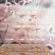 Champagne glasses x9