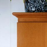 Vintage cabinet 60s in oak veneer