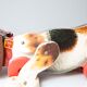 Snoopy pulling dog to record price no. 181