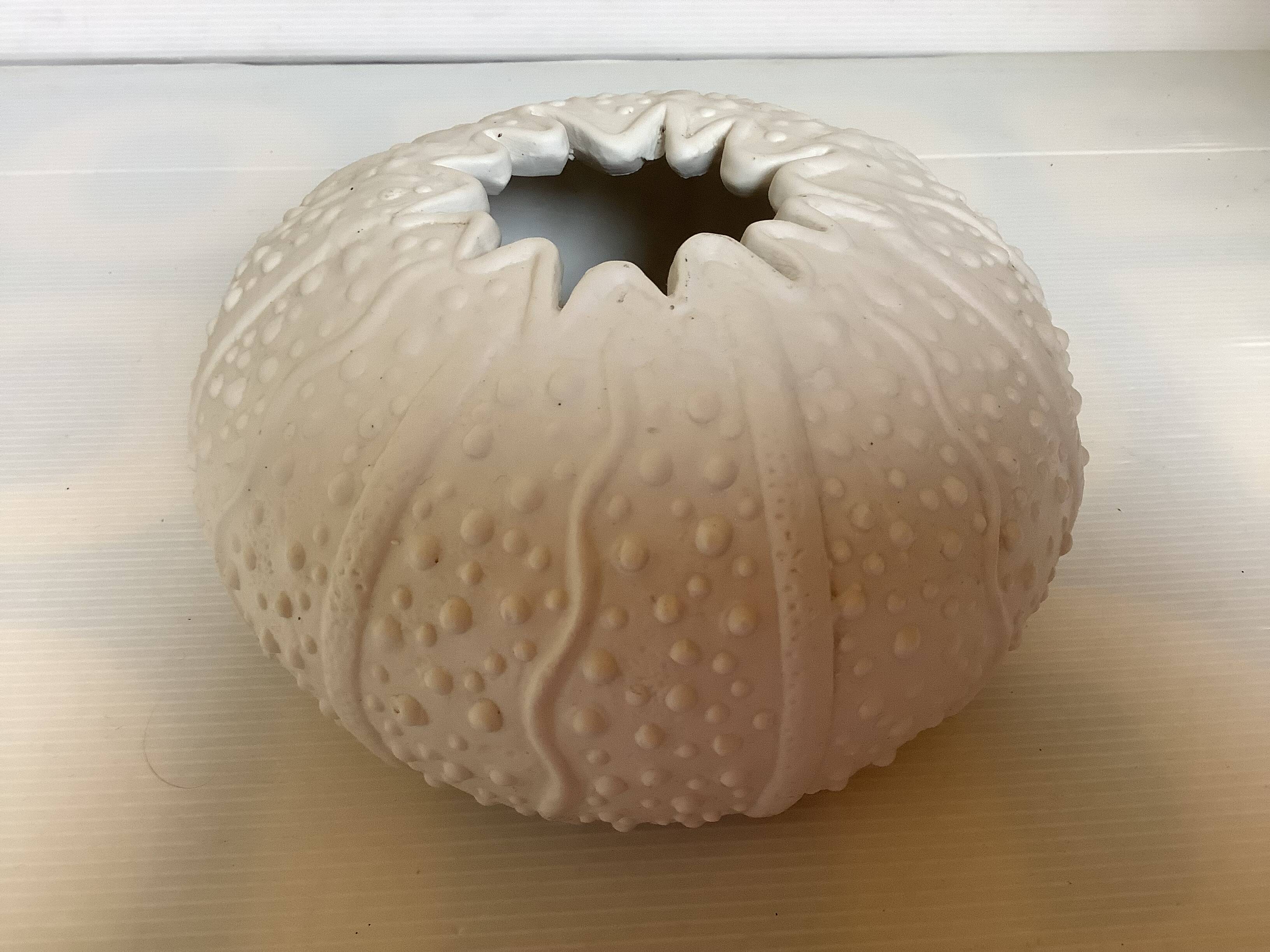 Vase en forme d oursin coquillage