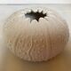Vase en forme d oursin coquillage