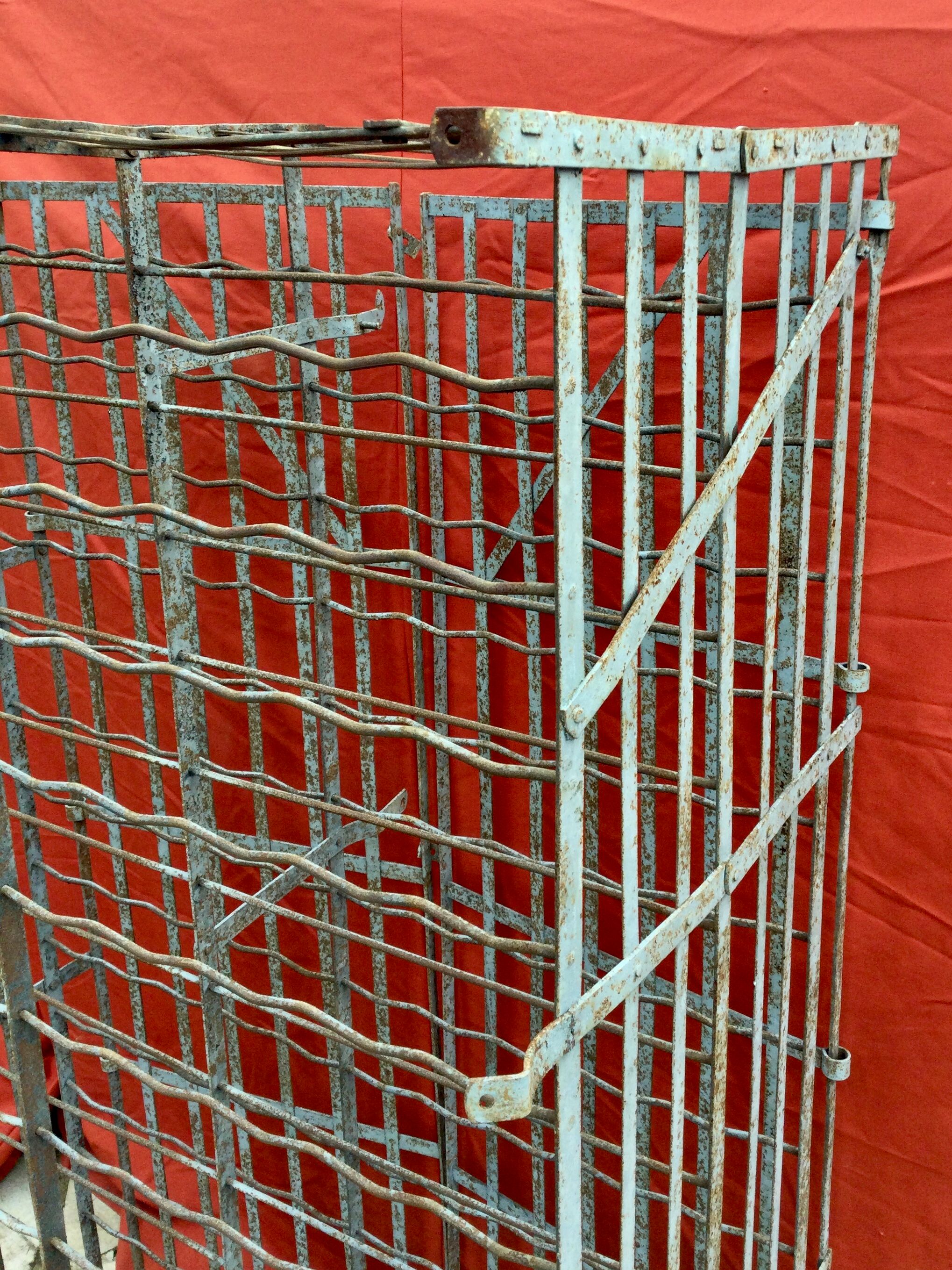 Wine cellar 300 bottles