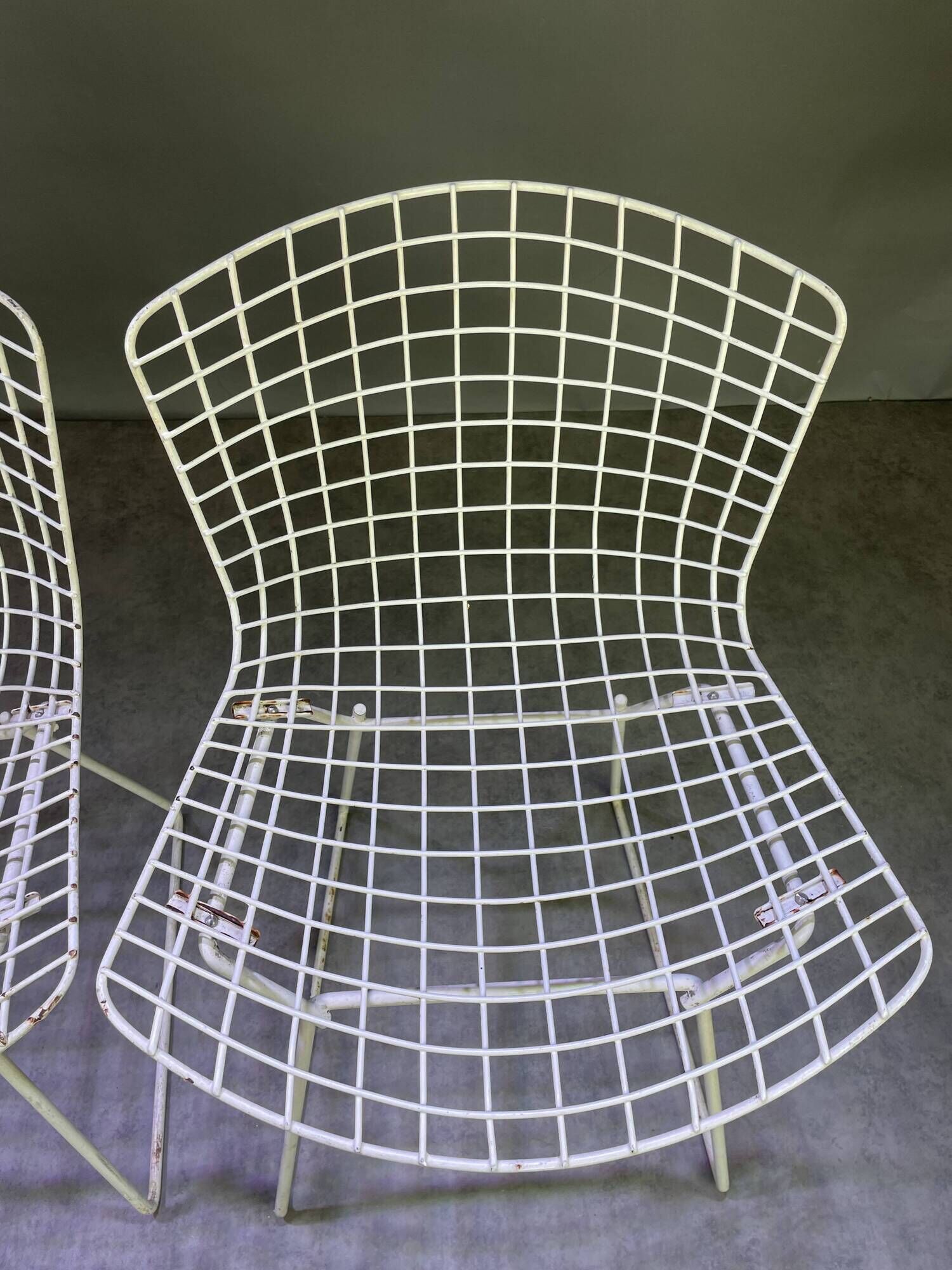 Pair of white lacquered Bertoia chairs