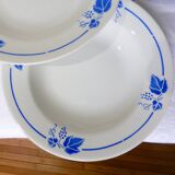 5 Roselys deep plates, vine pattern