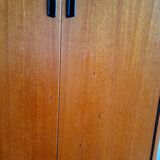 Mid-century library 1960