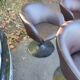 Set of 4 vintage Pierre Guariche chairs
