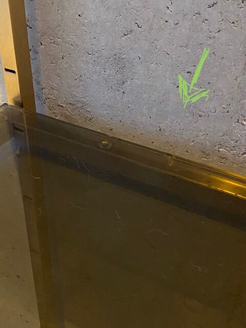 Golden brass and glass shelves