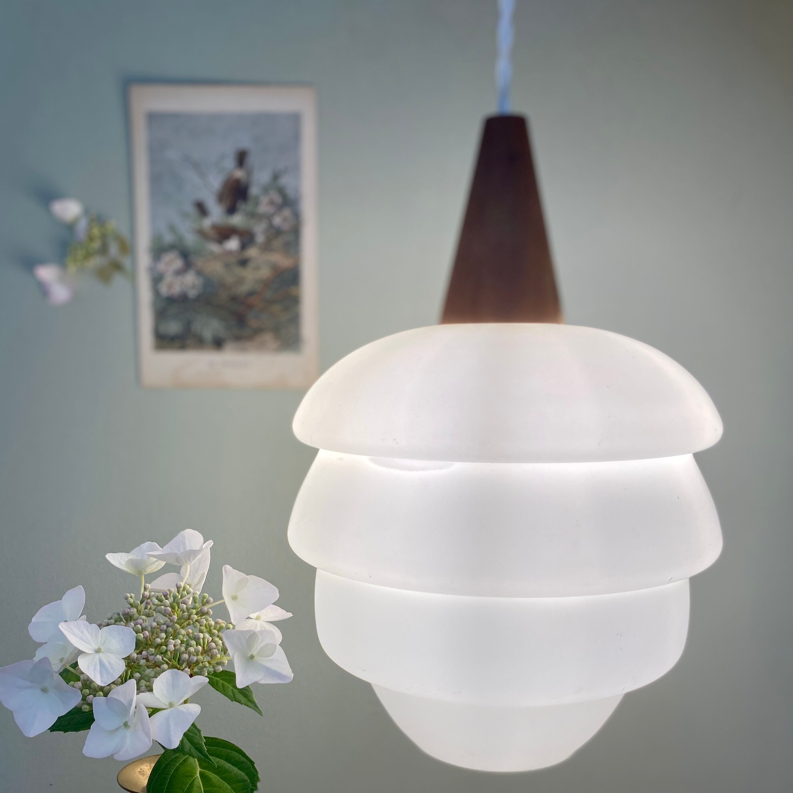 Vintage Scandinavian pendant lamp in teak and opaline
