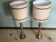 Pair of lamps with old brass base