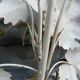 Large painted metal wall lamp with two arms vine/grape decoration