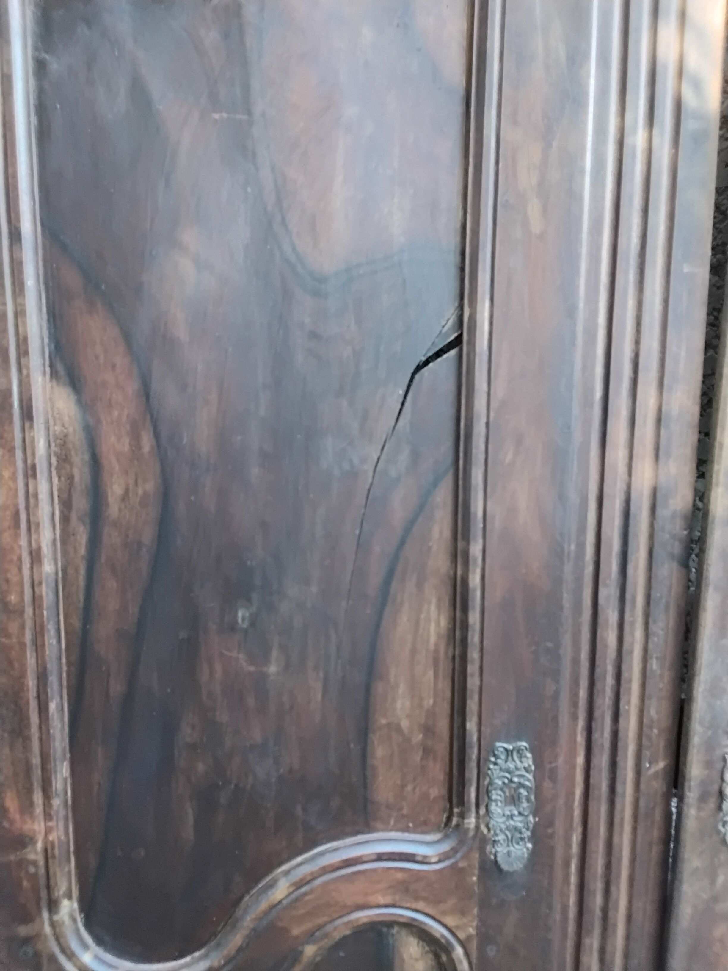 Pair of antique doors in 18th-century Louis XV style.