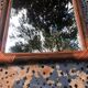 Mirror in wood and rattan 60s