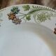 6 antique deep plates U&C Sarreguemines