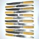 Series of 12 art nouveau knives in steel and beige bakelite 1900-1910