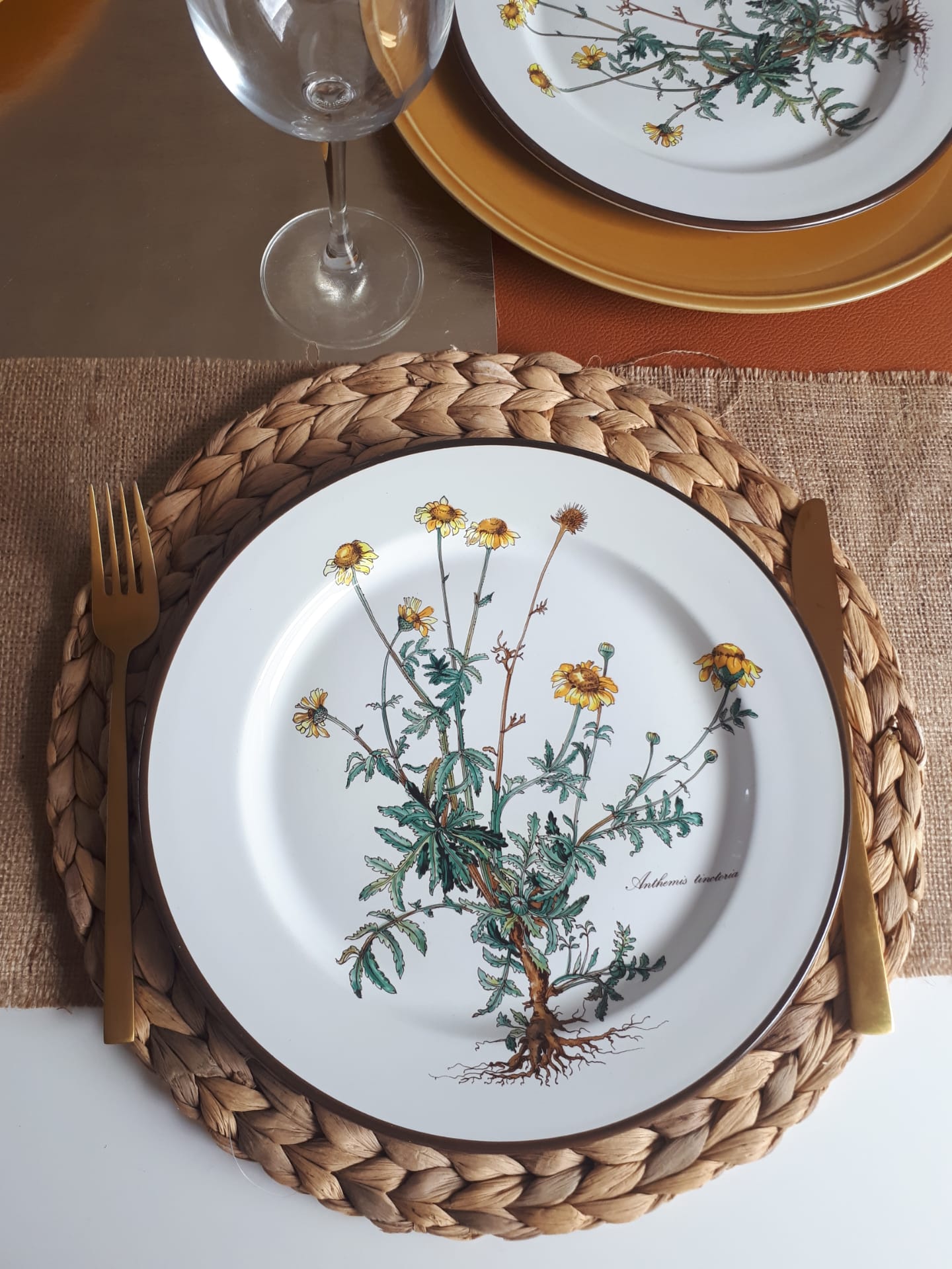 Lot of 4 flat plates "Anthemis" from the service "Botanica" of Boch