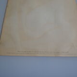 Matisse " nu bleu " 1952 screen print poster spadem 1971