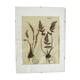 Herbier Fougères 1930