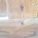 Old trade furniture