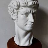 Plaster bust of David