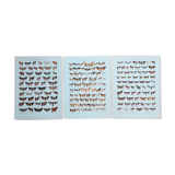 Engravings of lepidoptera lot of 3