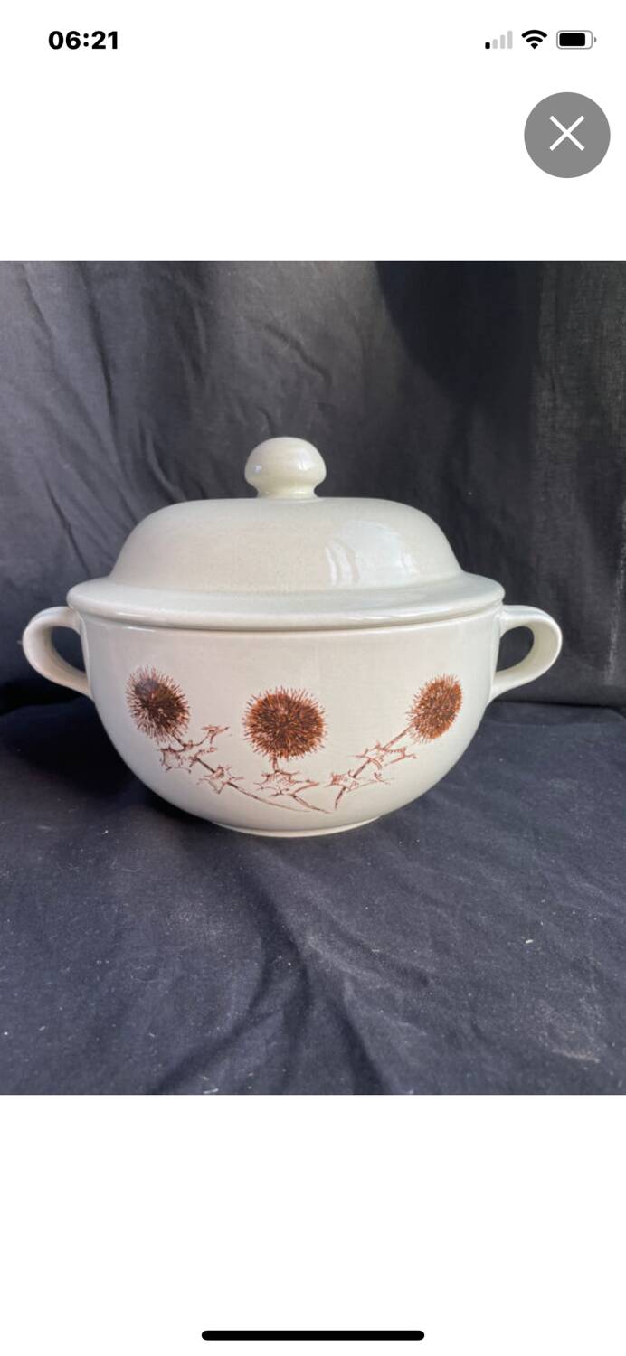 Sarreguemines thistle soup tureen