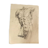 4 Quatre dessins académiques anatomiques du début du XXe siècle