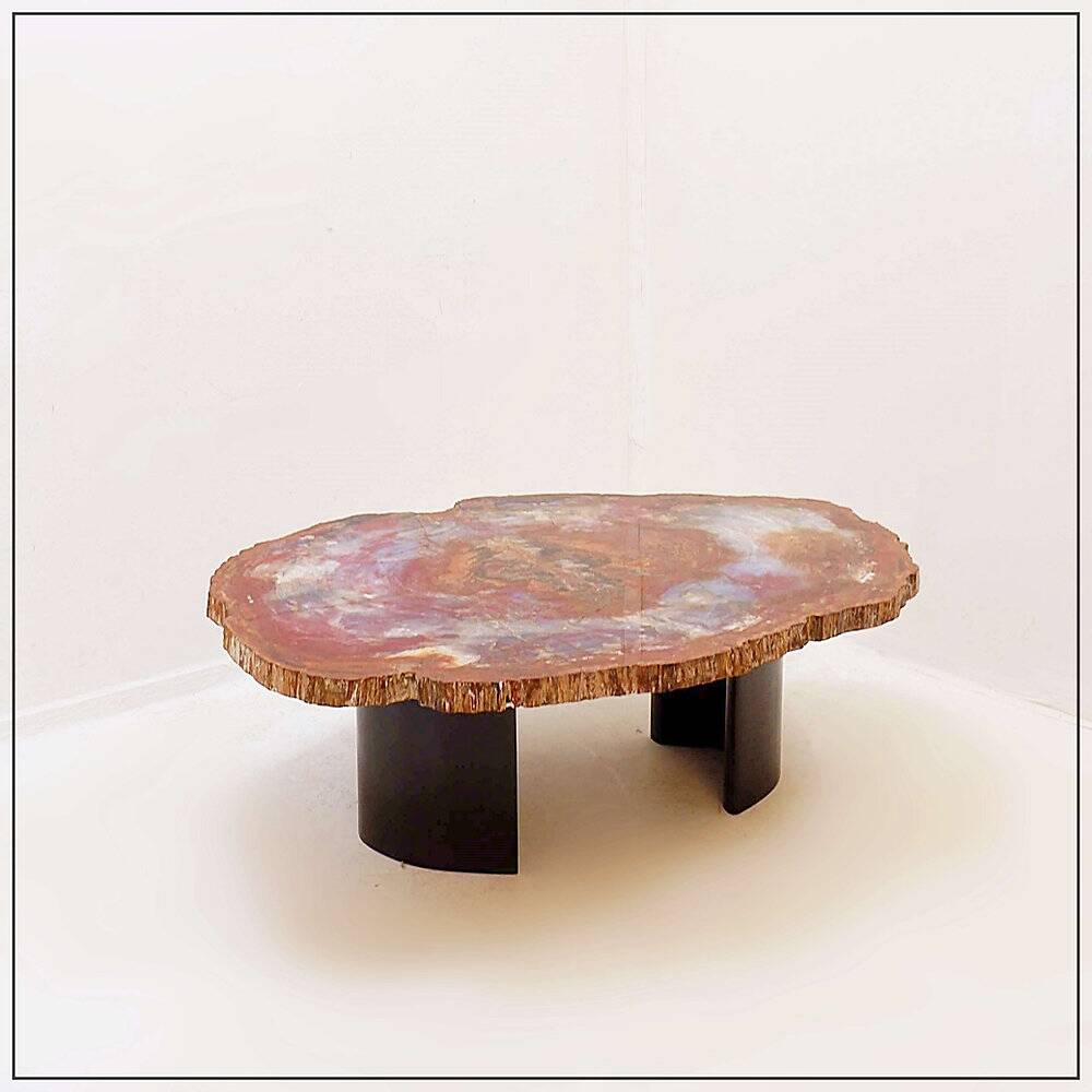 Red petrified wood coffee table from Arizona: 114x88cm