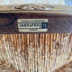 Lot de 4 chaises baumann
