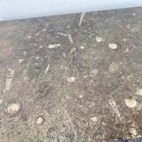 Table basse marbre fossilisé