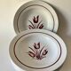 8 soup plates - Haarlem 43 service