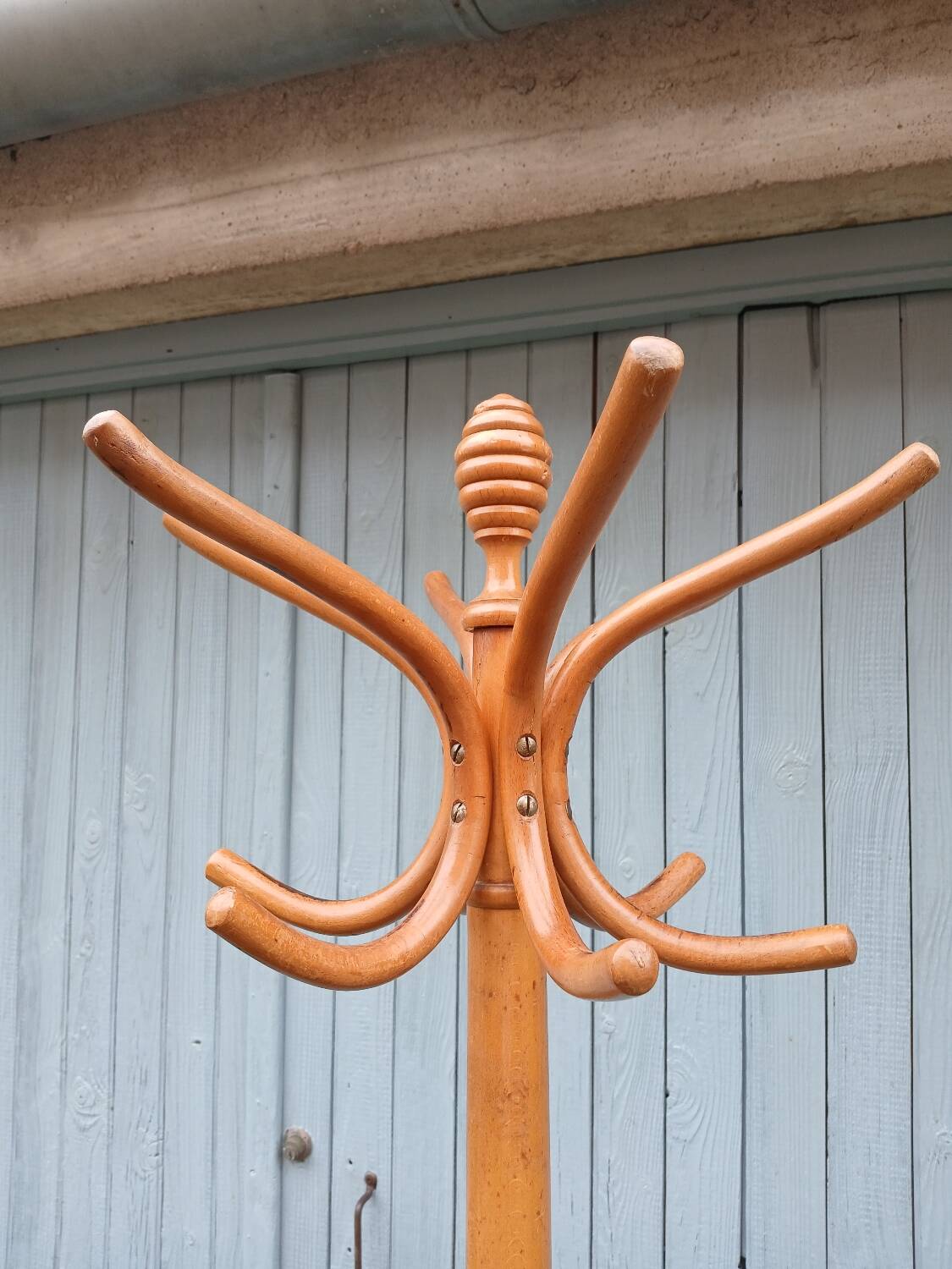 Antique parrot coat rack