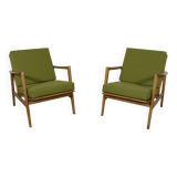Model 300-139 Armchairs from Swarzędz Factory, 1960s, Set of 2