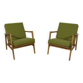 Model 300-139 Armchairs from Swarzędz Factory, 1960s, Set of 2