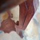 Antique solid wood pedestal table with marble top
