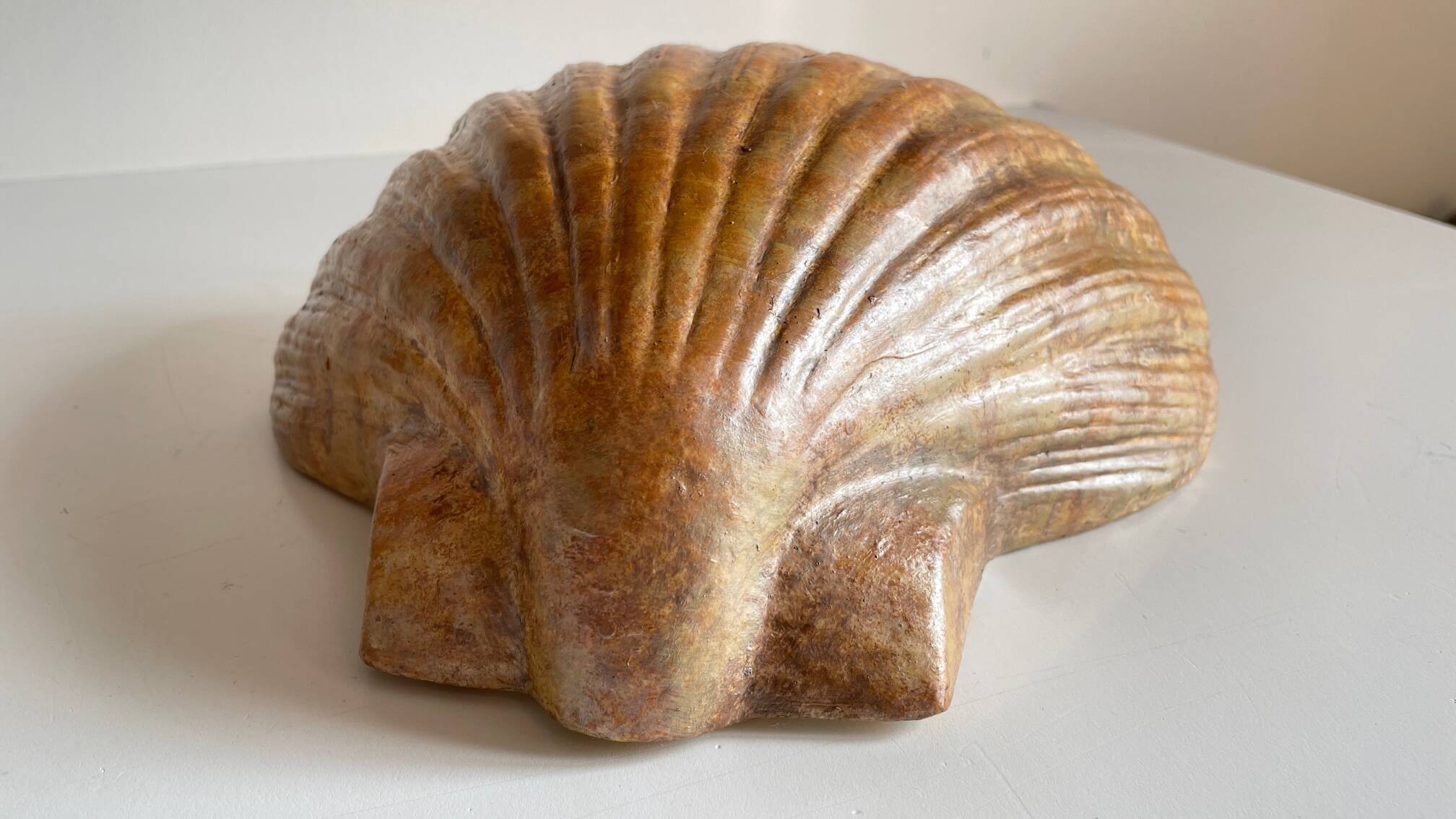 Shell wall enameled by aljezur