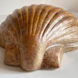 Shell wall enameled by aljezur