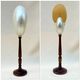Large pearly Nautilus shell on turned wooden base, old vintage cabinet of curiosities