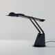 Italian Desk Lamp “Fila” by Chanan Gardi for Sirrah, 1980s