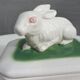 Pot terrine rabbit of Bavent in white earthenware on square of greenery