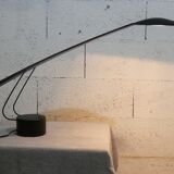 Italian desk lamp Dove by Mario Barbaglia and Marco colombo for PAF studio