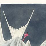 Poster about the Common Tern, based on an old engraving from 1827.