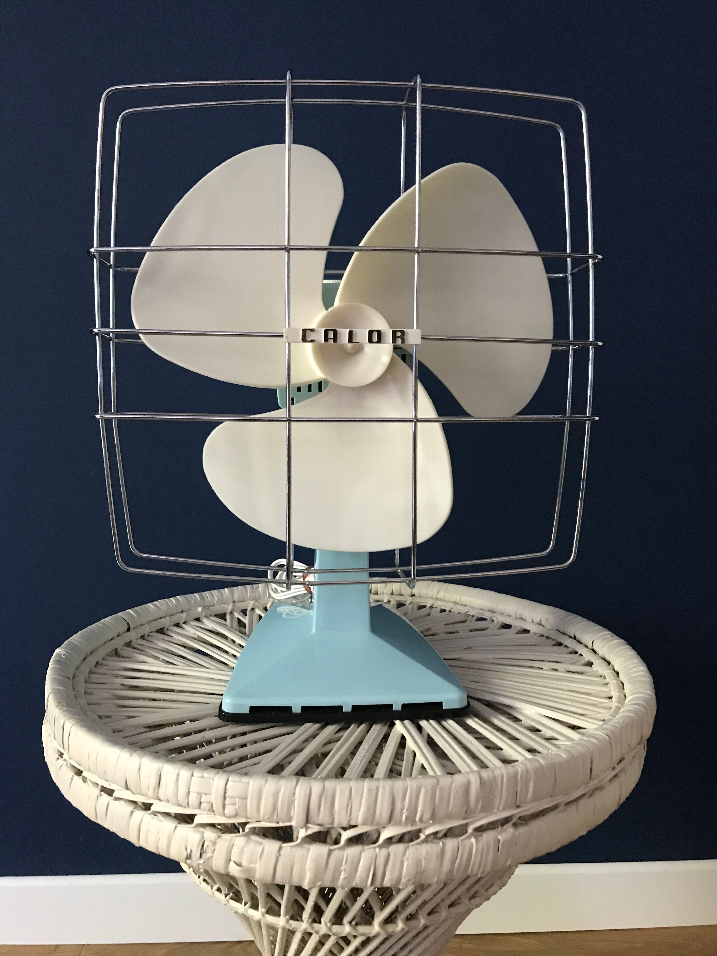 Vintage calor tilting fan mint