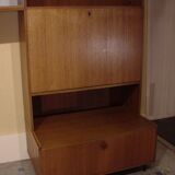 Vintage teak library