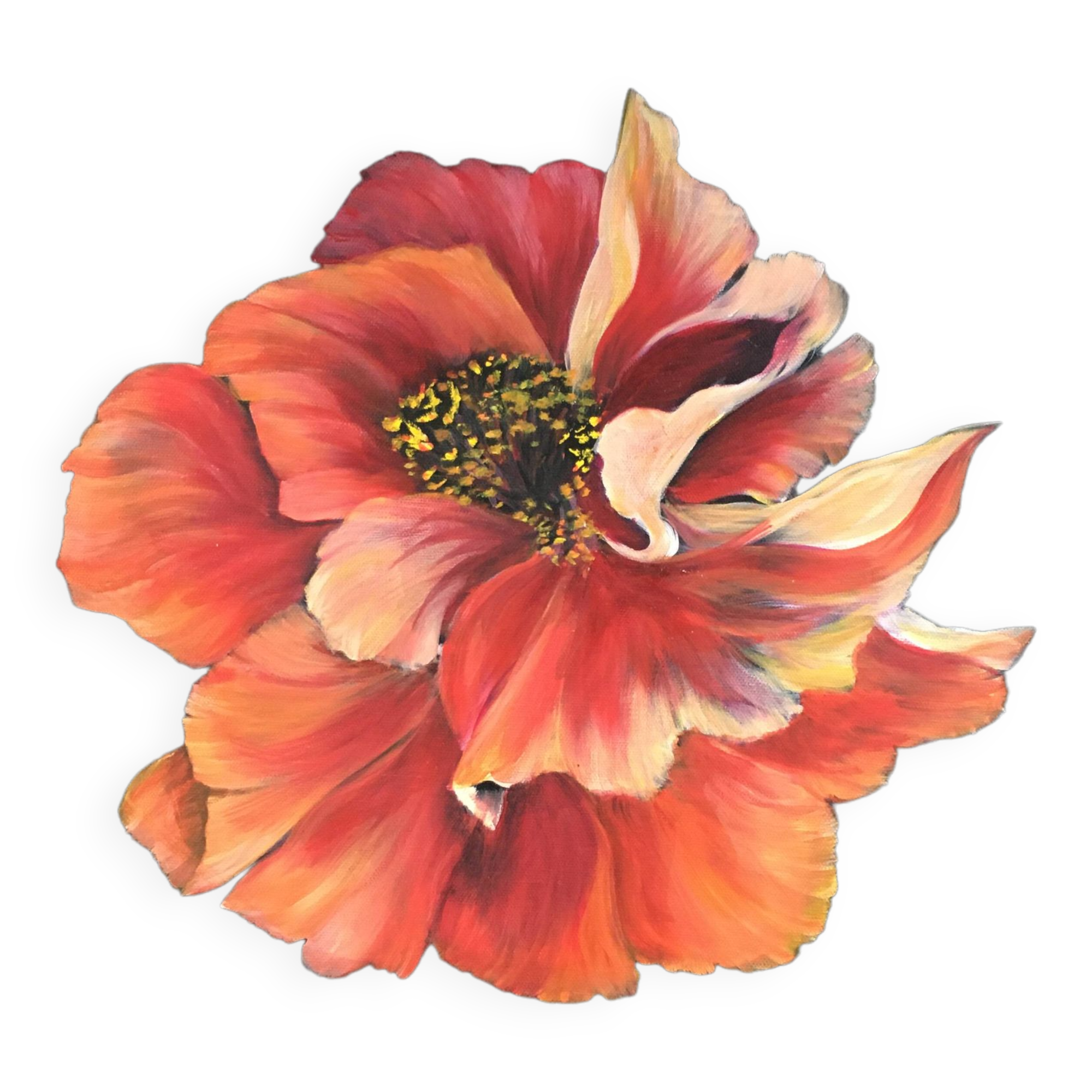 Pink peony painting on black background