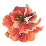 Pink peony painting on black background