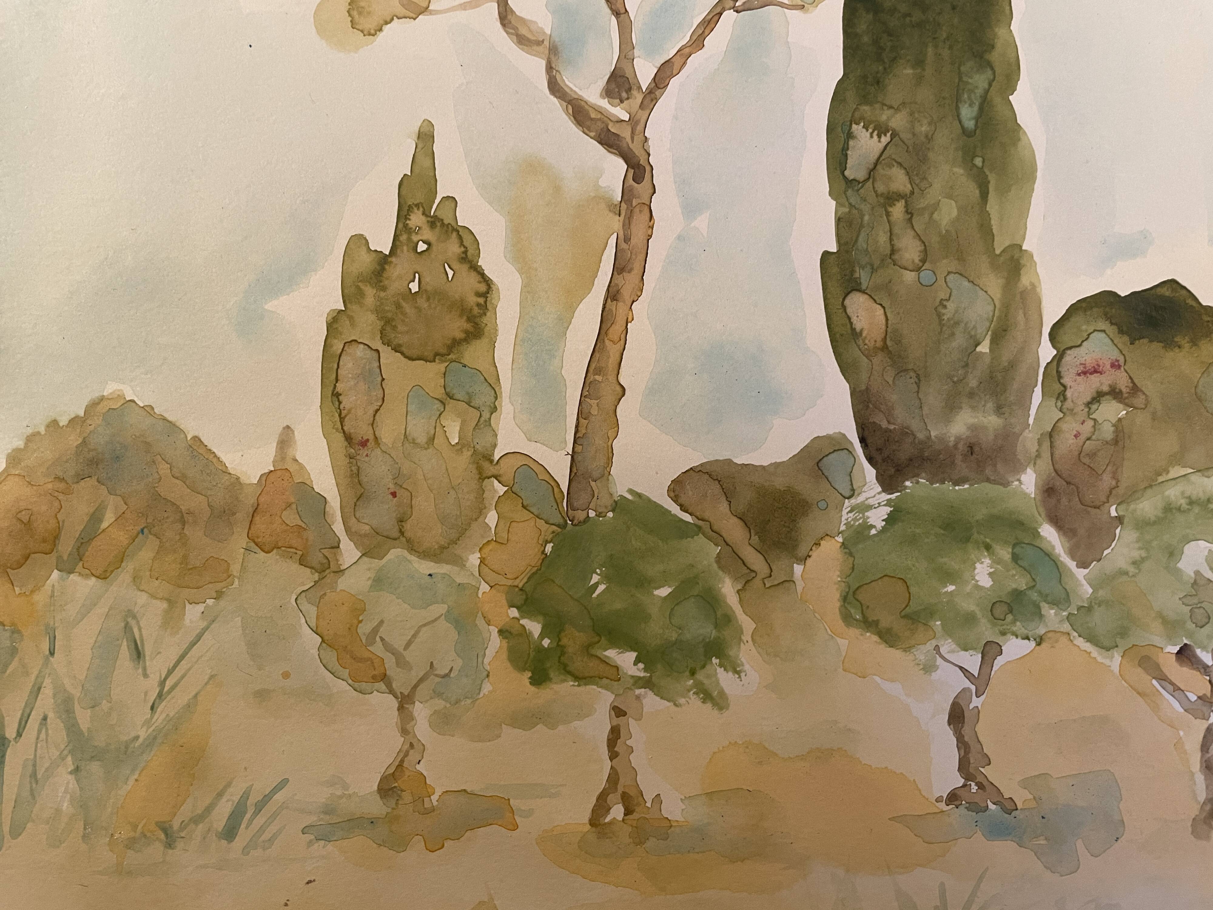 Signed watercolor painting “olive tree field in Provence”