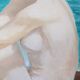 Oil painting on canvas/nude/seascape