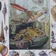 Journey to the Heart of Molluscs, illustrated plate and ancestral techniques