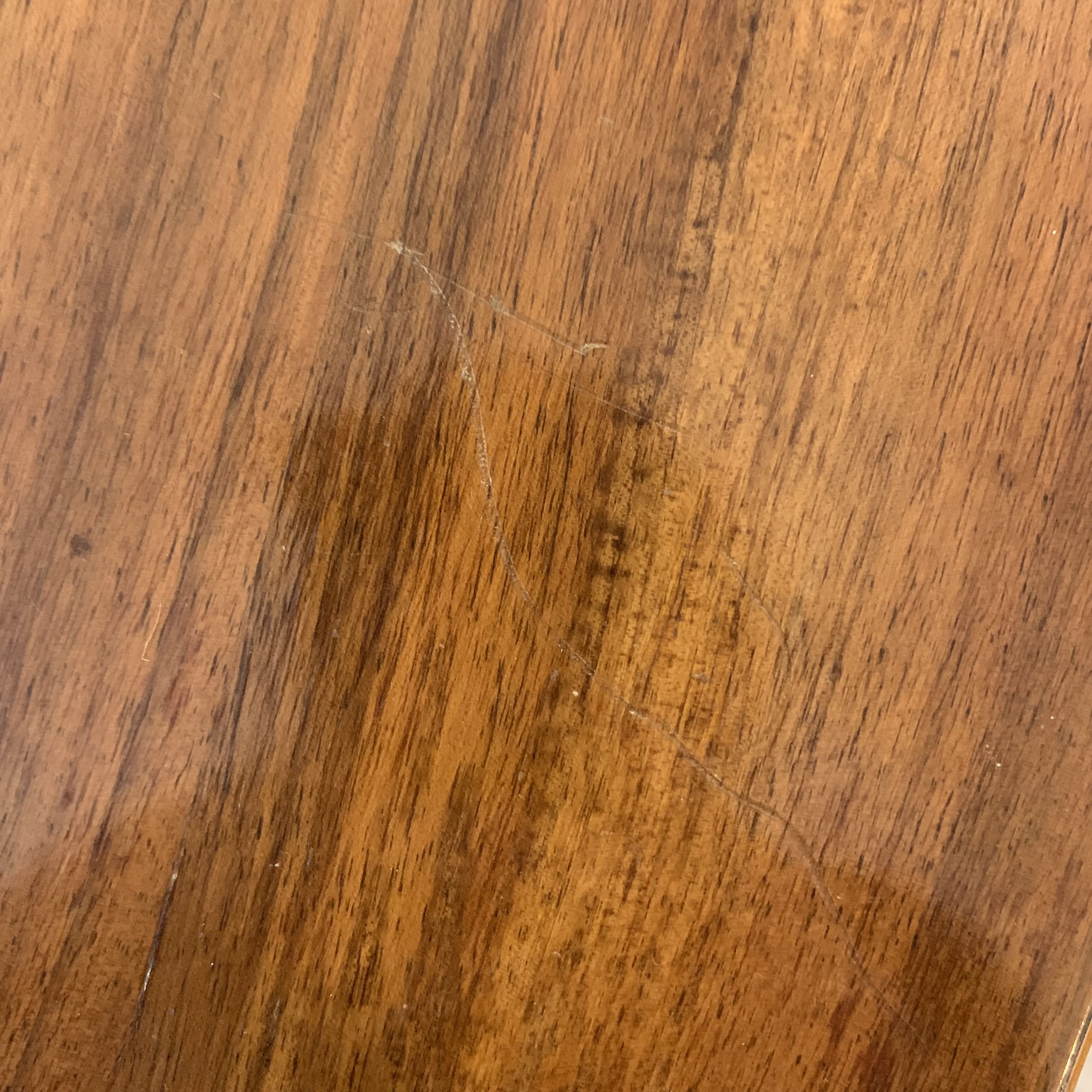 Showcase in wood and glass