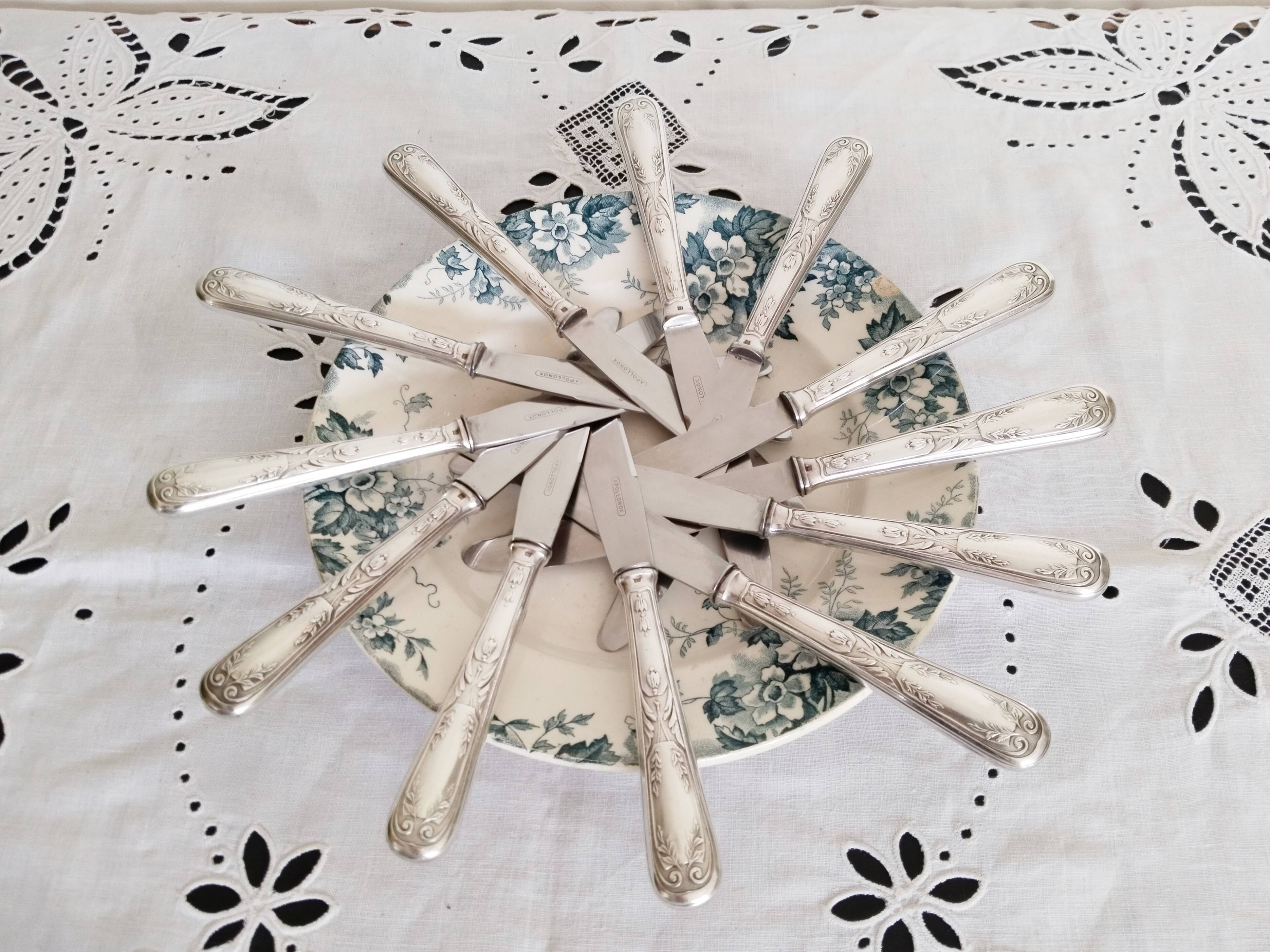 Set of 12 vintage knives, stainless steel blade and silver handle + box